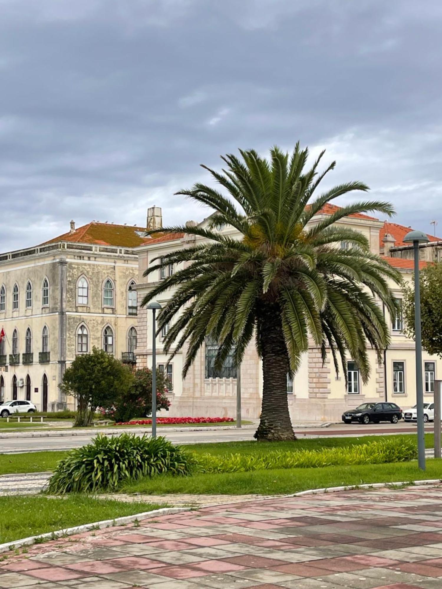 Patio Da Foz - Appartement Tres Accueillant Centre-Ville Figueira da Foz Εξωτερικό φωτογραφία